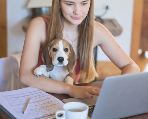 Student working on computer with a dog on her lap